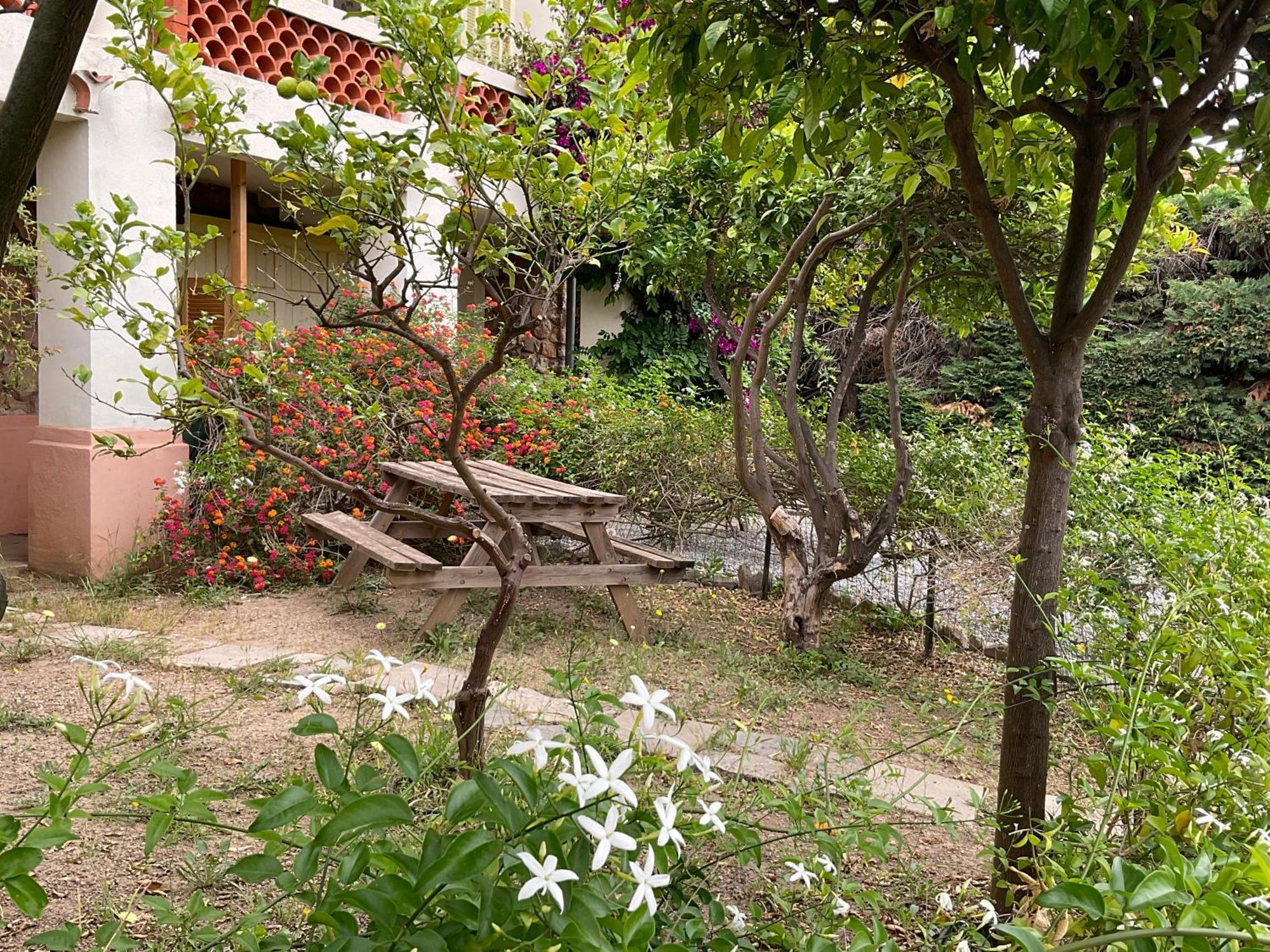 Villa La Provence Hyeres Exterior photo